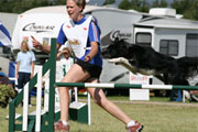 dogpool06.jpg
